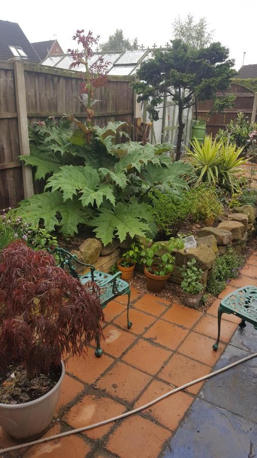 Self Contained Ground Floor Bedroom With Ensuite Wet Room Continental Breakfast Included Parking For 1 Car Outside Heanor Esterno foto