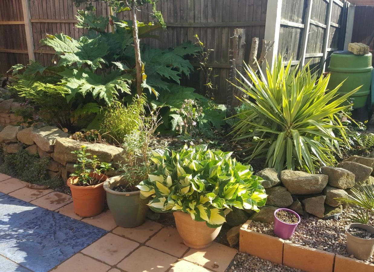 Self Contained Ground Floor Bedroom With Ensuite Wet Room Continental Breakfast Included Parking For 1 Car Outside Heanor Esterno foto